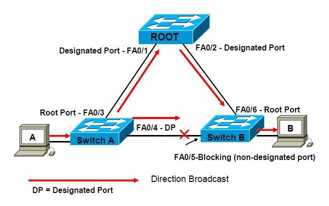 _images/Spanning-Tree-Protocol-Overview.png